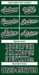 image_1745810679_0.webp