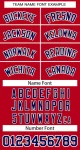 image_1745824085_0.webp