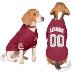 Custom Aqua White-Red Classic Style Hockey Jersey