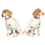 image_1745760330_0.webp