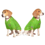 image_1745760407_0.webp