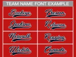 image_1745889130_0.webp