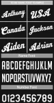 image_1745790251_0.webp
