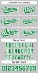 image_1745796117_0.webp