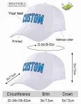 image_1745697841_0.webp